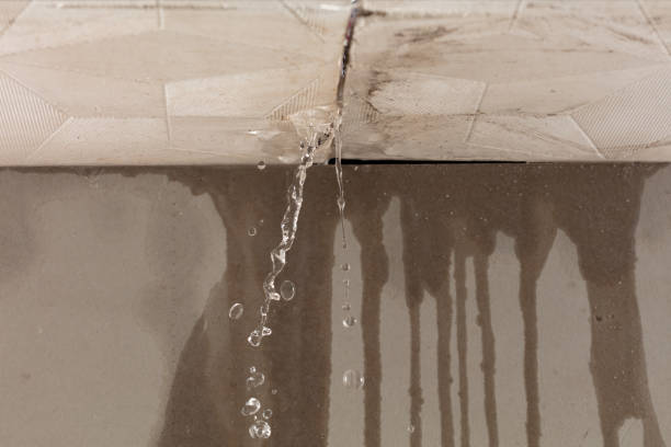 Professional Water Damage Repair technician working in Norway, MI